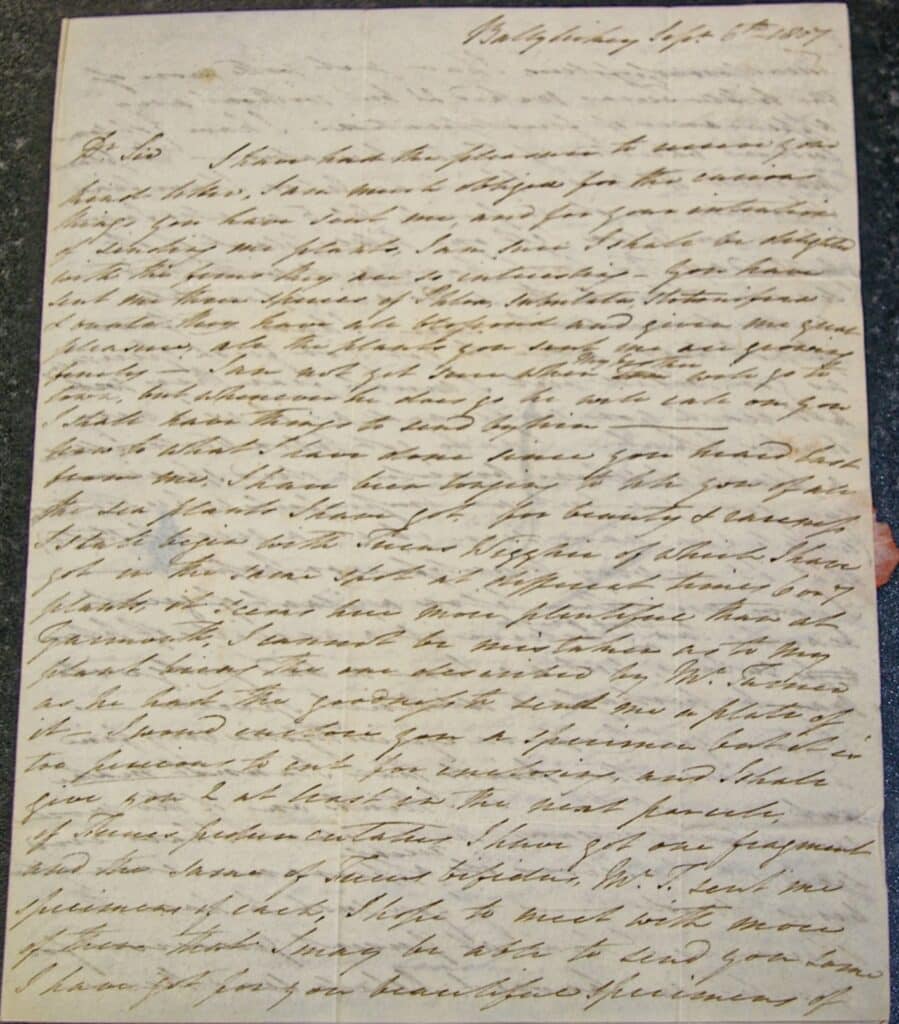 6th September 1807 Letter from Ellen to to James Mackay Image courtesy of Herbarium. Botany Dept. Trinitty College Dublin.