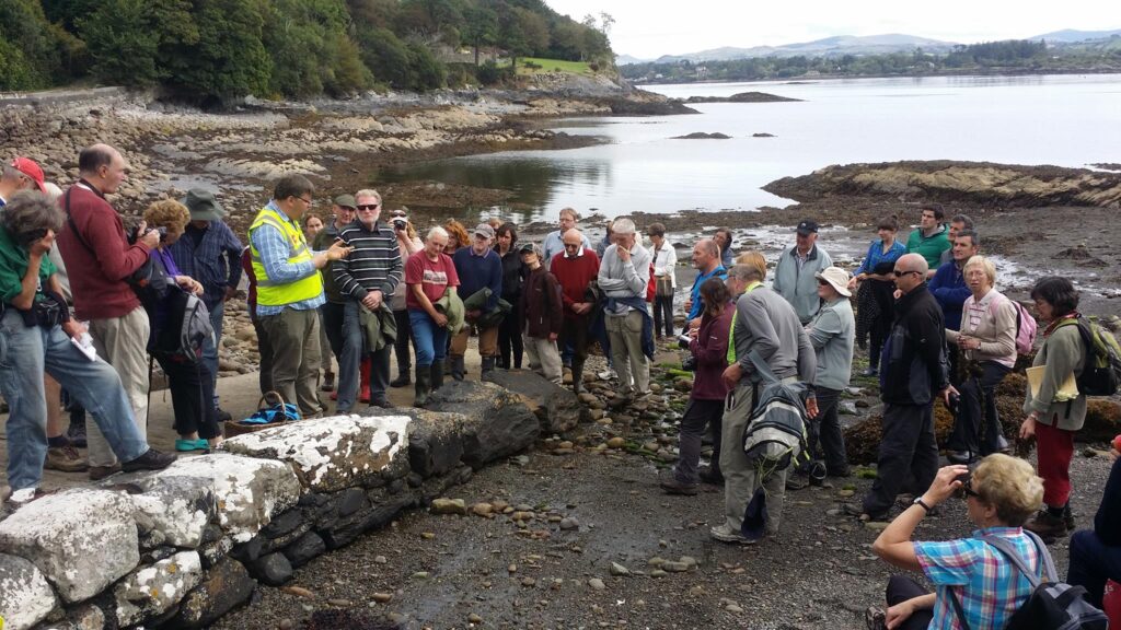 Exploring the seaweeds on the Strand, Ardnagashel, during the Ellen Hutchins Festival 2015