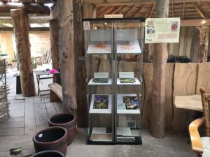 Future Forests Nursery, Kealkil. Mini exhibition