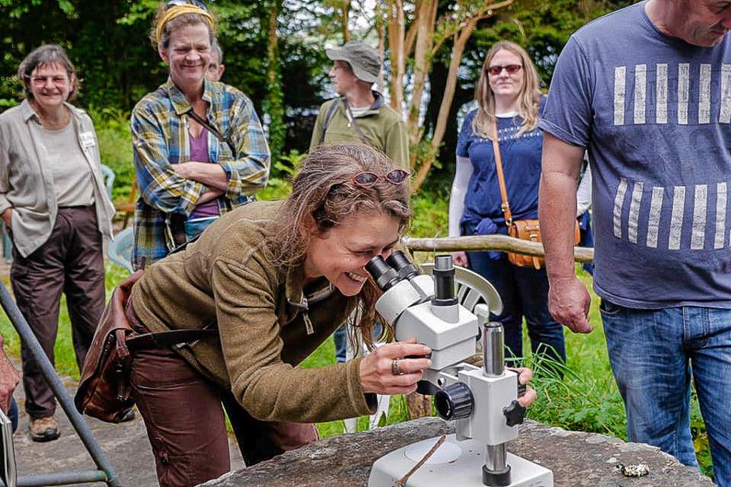 Lichen Foray at Ardnagashel East; led by Howard Fox