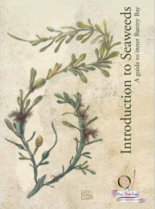 Introduction to Seaweeds: A guide to inner Bantry Bay