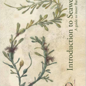 Introduction to Seaweeds: A guide to inner Bantry Bay