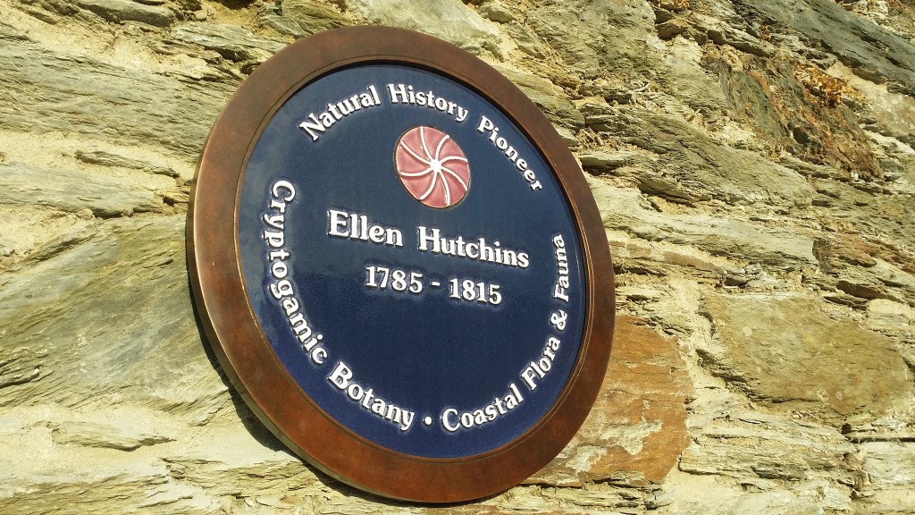 Ellen Plaque