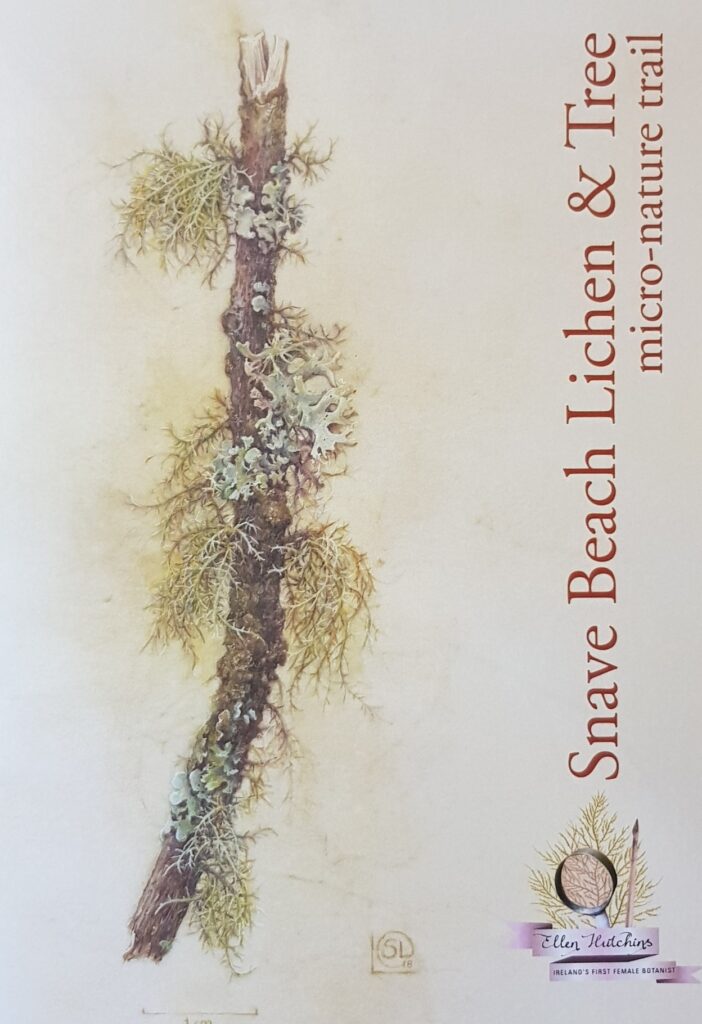 Snave Lichens & Trees Booklet