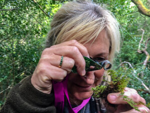 using a hand lens