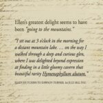 Letter EH to Dawson Turner 1812/07/01