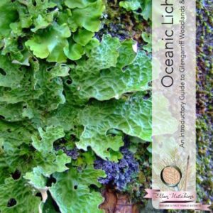 Oceanic Lichens: An Introductory Guide to Glengarriff Woodlands & Harbour