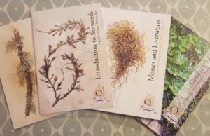 Book Bundle: Oceanic Lichens, Mosses & Liverworts, Seaweeds