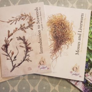 Book Bundle: Oceanic Lichens, Mosses & Liverworts, Seaweeds