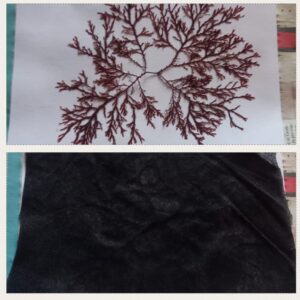Weed-block pieces for seaweed pressing
