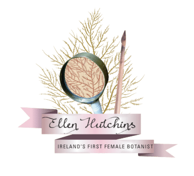 Ellen Hutchins Festival