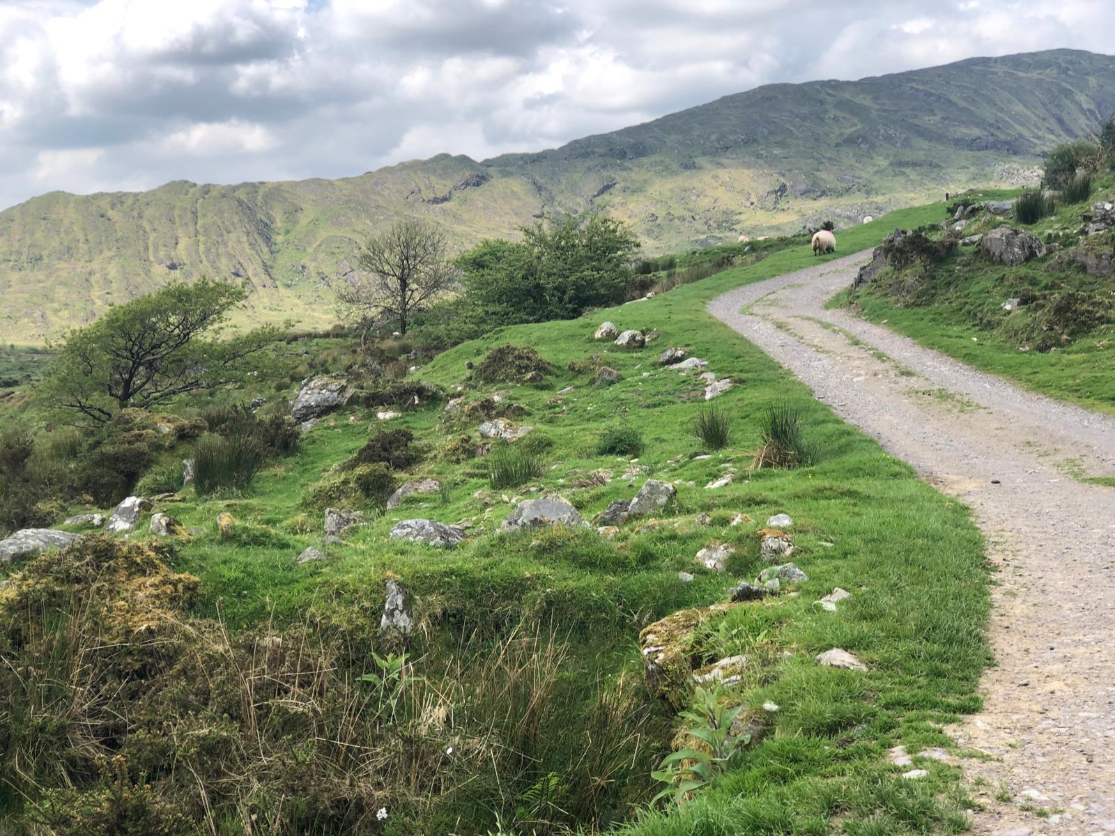 Exploring the prehistoric landscape of the Lost Valley, Inchigeelagh. A Guided walk