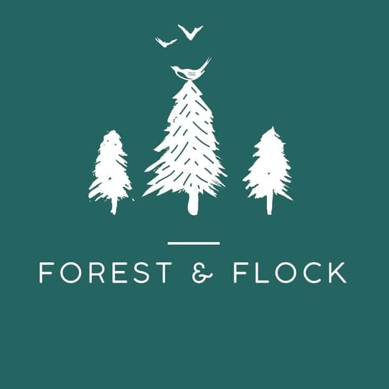 Forest & Flock