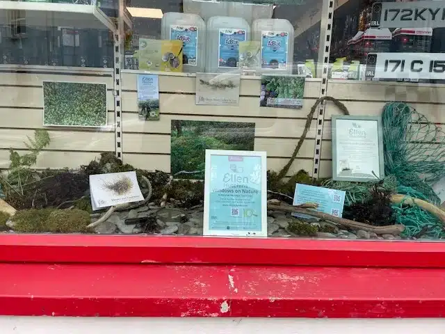 Windows on Nature: mosses and Liverworts @ Pit Stop Autoshop. Bantry.