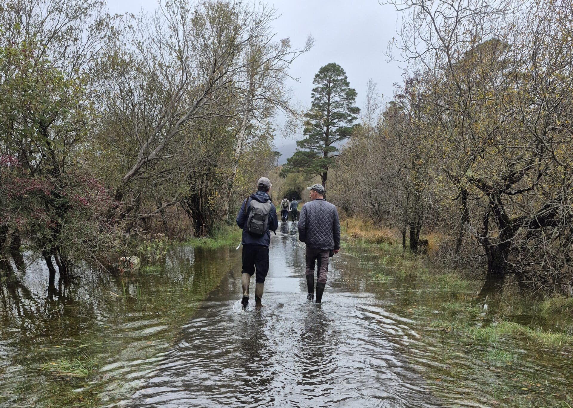 Community Seed Gathering & Woodland Restoration Walk